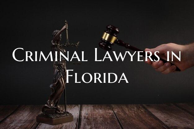 Criminal Lawyers in Florida